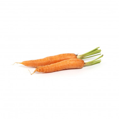 Zanahoria Ecológica (Kg).